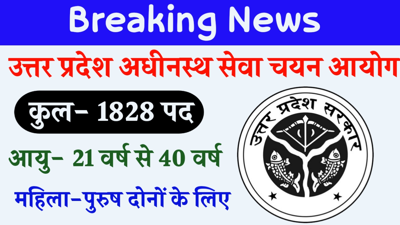 UPSSSC Assistant Accountant/ Auditor Recruitment 2024